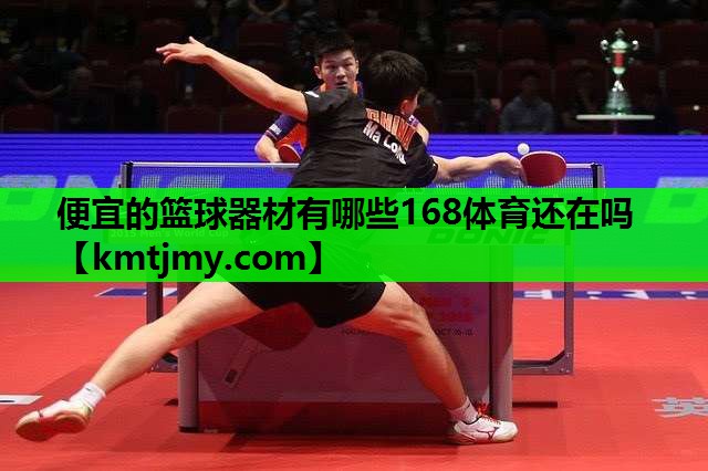 便宜的篮球器材有哪些168体育还在吗